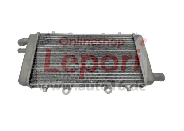Kühler Grecav Sonique mit Lombardini DCI-Motor